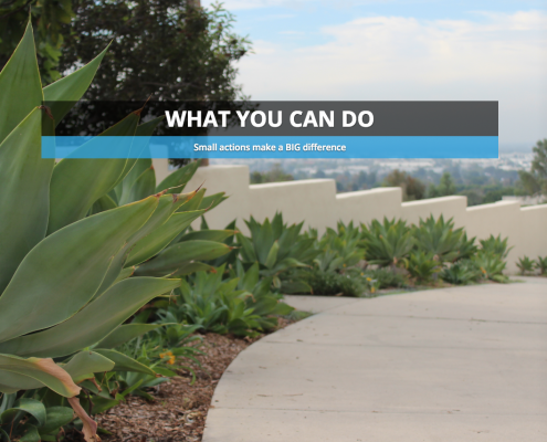 Screenshot from Sustainability.Whittier.domains from Cinzia Fissore's Fall 2015 class